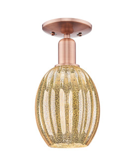 Arcadia One Light Semi-Flush Mount in Antique Copper (405|7161CACG4596ME)