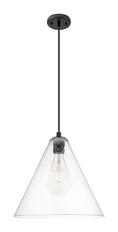 Downtown Urban One Light Pendant in Matte Black (405|4341PBKGBC162)
