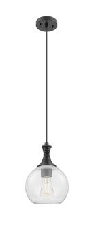 Ballston One Light Mini Pendant in Matte Black (405|4151PBKG1228)