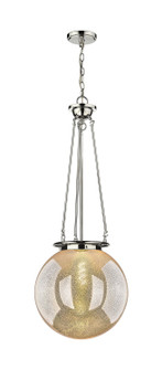 Essex One Light Pendant in Polished Nickel (405|2211PPNG20816)