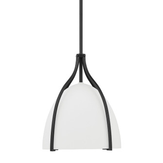 Arcelia One Light Pendant in Matte Black (47|48119)