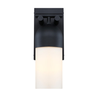 Ever Spring One Light Outdoor Wall Sconce in Black (43|D348M18EWBK)