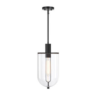 Skylar One Light Pendant in Matte Black (43|D332M10PMB)