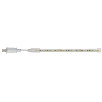 LED Tape Light in White (167|NUTP13W1312940CP)