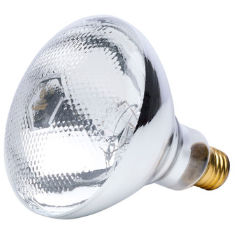 Light Bulb in Clear Heat (230|S4759)