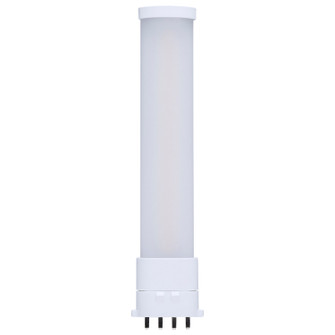 Light Bulb in Frost (230|S11556)