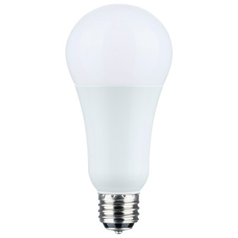 Light Bulb in Frost (230|S11518)