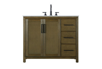 Alina Bathroom Vanity in Hazel Oak (173|VF29542HO)