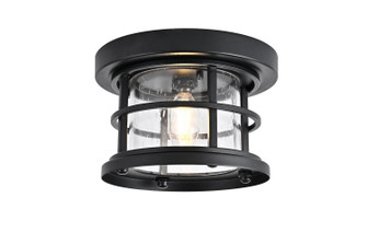 Carla One Light Outdoor Flush Mount in Black and Clear (173|OD614F8BK)