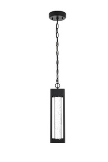 Amaris LED Outdoor Pendant in Black and Clear (173|OD604H15BK)
