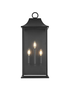 Shepard Three Light Outdoor Wall Sconce in Black (173|OD503W25BK)