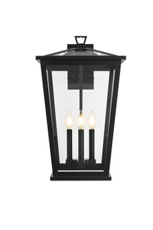 Berks Three Light Outdoor Wall Sconce in Black (173|OD333W22BK)