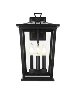 Cayman Three Light Outdoor Wall Sconce in Black (173|OD332W16BK)