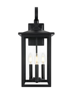 Carisle Three Light Outdoor Wall Sconce in Black (173|OD325W20BK)
