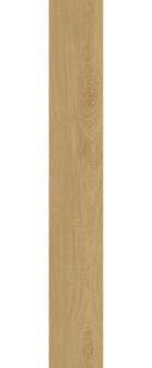 Legacy Luxury Vinyl Flooring in Bright Natural Oak (173|LVFOAK02755V2)