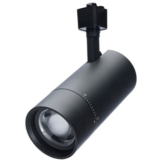 LED Track Head in Matte Black (72|TH742)