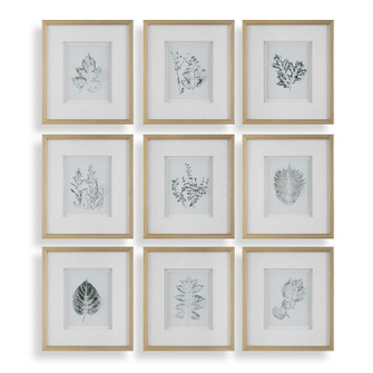 Nature's Framed Botanical Prints Set/9 in Gold (52|32449)