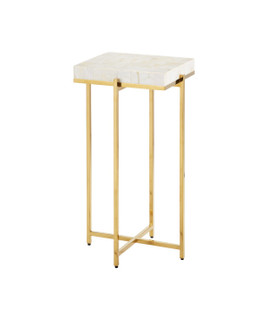 Casey Accent Table in Natural/Brass (142|40000225)