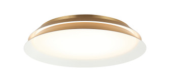 Dahlia LED Wall Sconce in Aged Gold Brass (423|M19118AG)