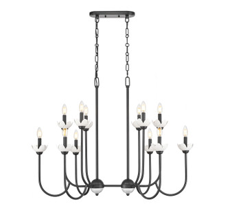 Allistair 12 Light Linear Chandelier in Matte Black (224|35242LMB)