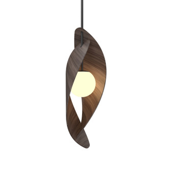 Oyster One Light Pendant in American Walnut (486|151218)