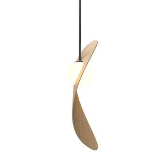 Oyster One Light Pendant in Maple (486|151134)