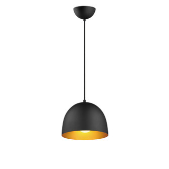 Tova One Light Pendant in Black / Gold (16|11482BKGLD)