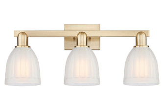 Arcadia Three Light Bath Vanity in Champagne Bronze (405|7163WCBG441)