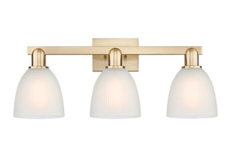 Arcadia Three Light Bath Vanity in Champagne Bronze (405|7163WCBG381)