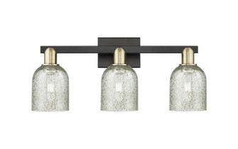 Arcadia Three Light Bath Vanity in Black Antique Brass (405|7163WBABG259)
