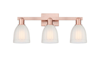 Arcadia Three Light Bath Vanity in Antique Copper (405|7163WACG441)