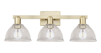 Arcadia Three Light Bath Vanity in Antique Brass (405|7163WABG422)