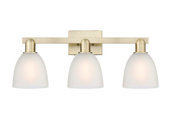 Arcadia Three Light Bath Vanity in Antique Brass (405|7163WABG381)