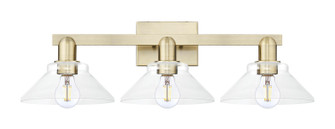 Arcadia Three Light Bath Vanity in Antique Brass (405|7163WABG132)