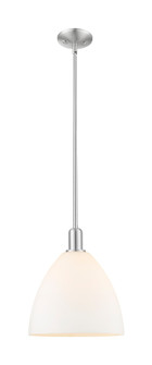 Arcadia One Light Mini Pendant in Brushed Satin Nickel (405|7161SSNGBD121)