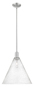 Arcadia One Light Mini Pendant in Brushed Satin Nickel (405|7161SSNGBC164)