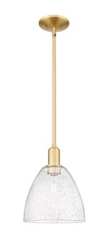Arcadia One Light Mini Pendant in Satin Gold (405|7161SSGGBD94)
