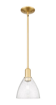 Arcadia One Light Mini Pendant in Satin Gold (405|7161SSGGBD754)