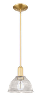 Arcadia One Light Mini Pendant in Satin Gold (405|7161SSGG422)