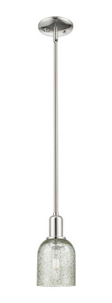 Arcadia One Light Mini Pendant in Polished Nickel (405|7161SPNG259)