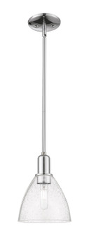 Arcadia One Light Mini Pendant in Polished Chrome (405|7161SPCGBD754)