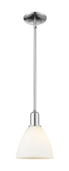 Arcadia One Light Mini Pendant in Polished Chrome (405|7161SPCGBD751)