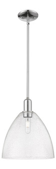 Arcadia One Light Mini Pendant in Polished Chrome (405|7161SPCGBD124)