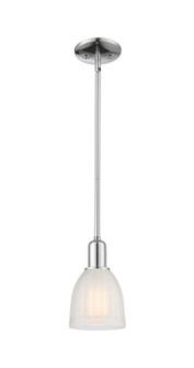 Arcadia One Light Mini Pendant in Polished Chrome (405|7161SPCG441)
