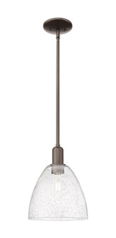 Arcadia One Light Mini Pendant in Oil Rubbed Bronze (405|7161SOBGBD94)