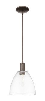 Arcadia One Light Mini Pendant in Oil Rubbed Bronze (405|7161SOBGBD92)