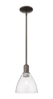 Arcadia One Light Mini Pendant in Oil Rubbed Bronze (405|7161SOBGBD754)