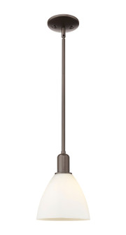 Arcadia One Light Mini Pendant in Oil Rubbed Bronze (405|7161SOBGBD751)