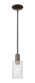Arcadia One Light Mini Pendant in Oil Rubbed Bronze (405|7161SOBG804)