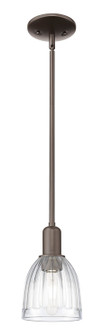 Arcadia One Light Mini Pendant in Oil Rubbed Bronze (405|7161SOBG442)